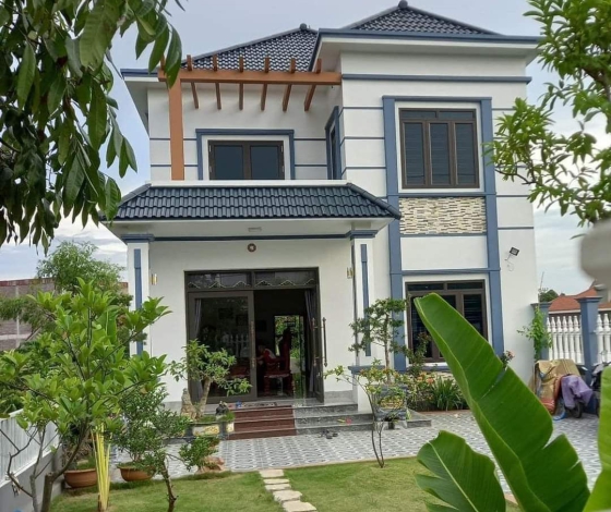 Giới thiệu về xaysuanhadep.vn